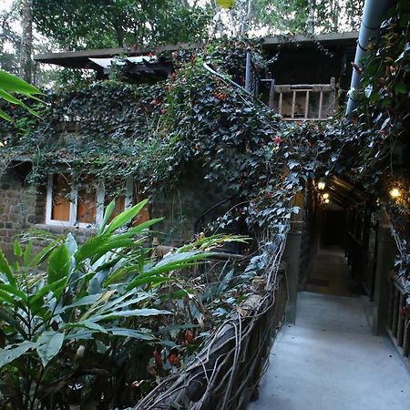 Greenspaces B&B ムンナール エクステリア 写真