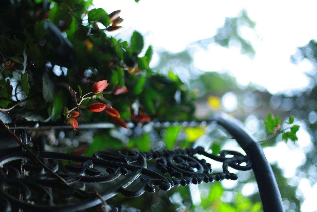 Greenspaces B&B ムンナール エクステリア 写真