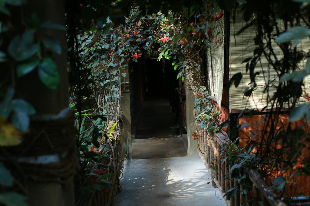 Greenspaces B&B ムンナール エクステリア 写真
