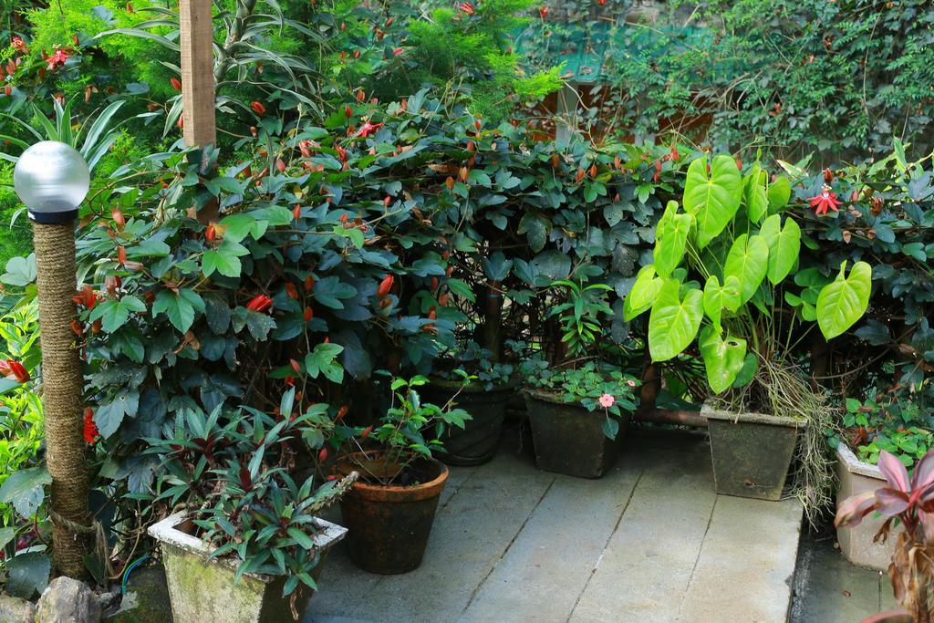 Greenspaces B&B ムンナール エクステリア 写真