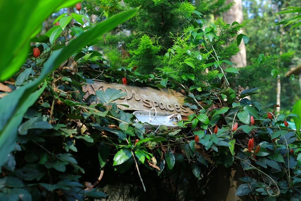 Greenspaces B&B ムンナール エクステリア 写真