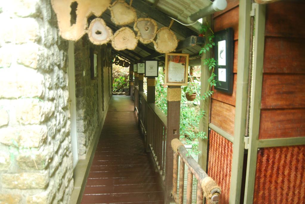 Greenspaces B&B ムンナール エクステリア 写真