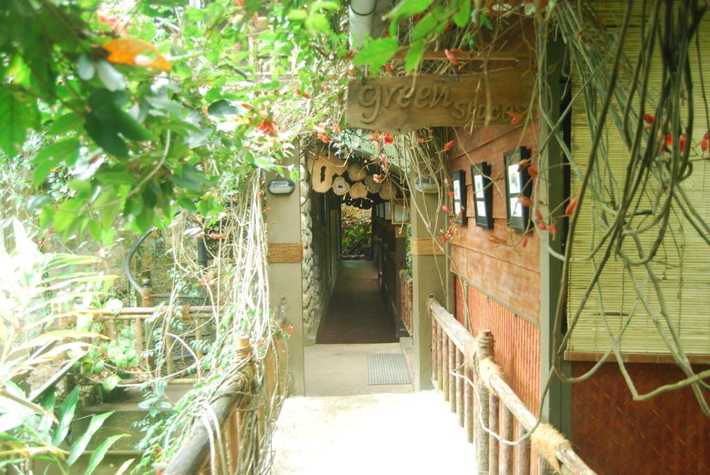 Greenspaces B&B ムンナール エクステリア 写真