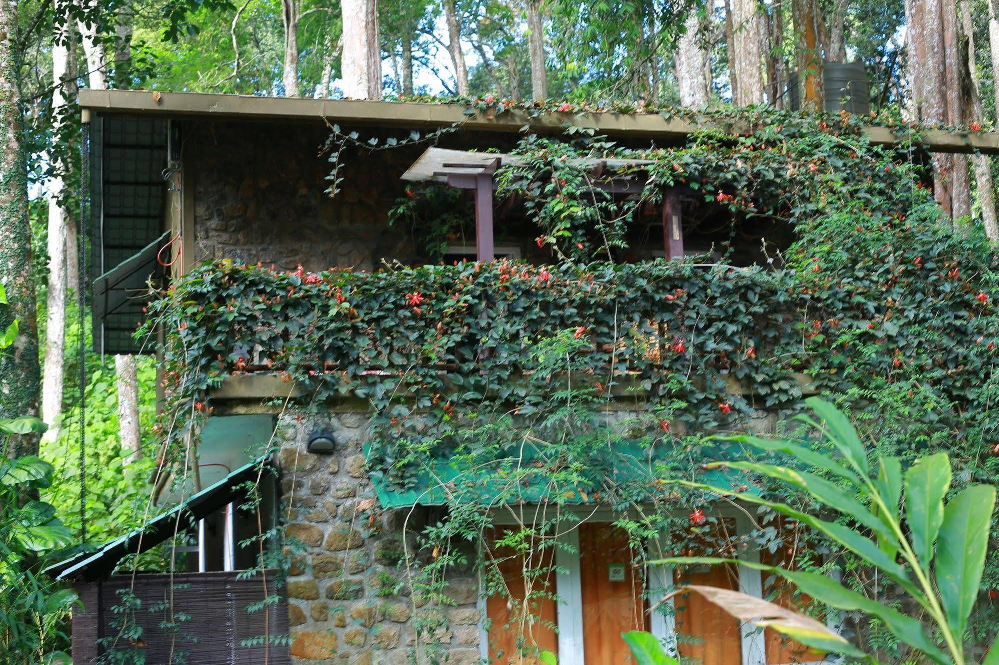 Greenspaces B&B ムンナール エクステリア 写真